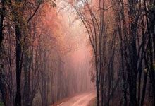 世锦赛刘俊茜60米栏摘铜.