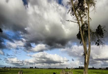 NBA:湖人队客场120-119步行者队.