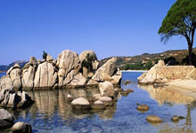 九球体育官网:爱奇艺体育英超西甲欧冠欧洲杯网球高尔夫等顶级赛事高清视....